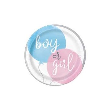 Bordjes gender reveal boy girl