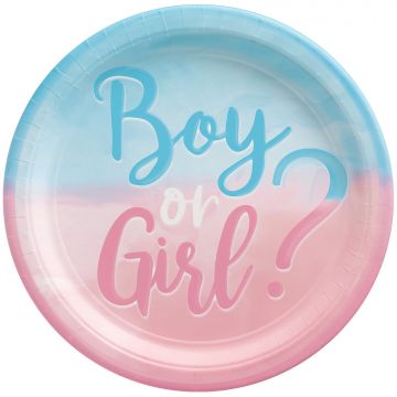 Bordjes gender reveal boy girl