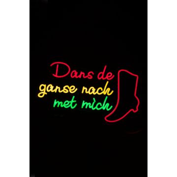 Led verlichting Dans de ganse nach met mich