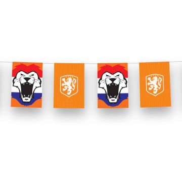 Vlagggenlijn KNVB voetba
